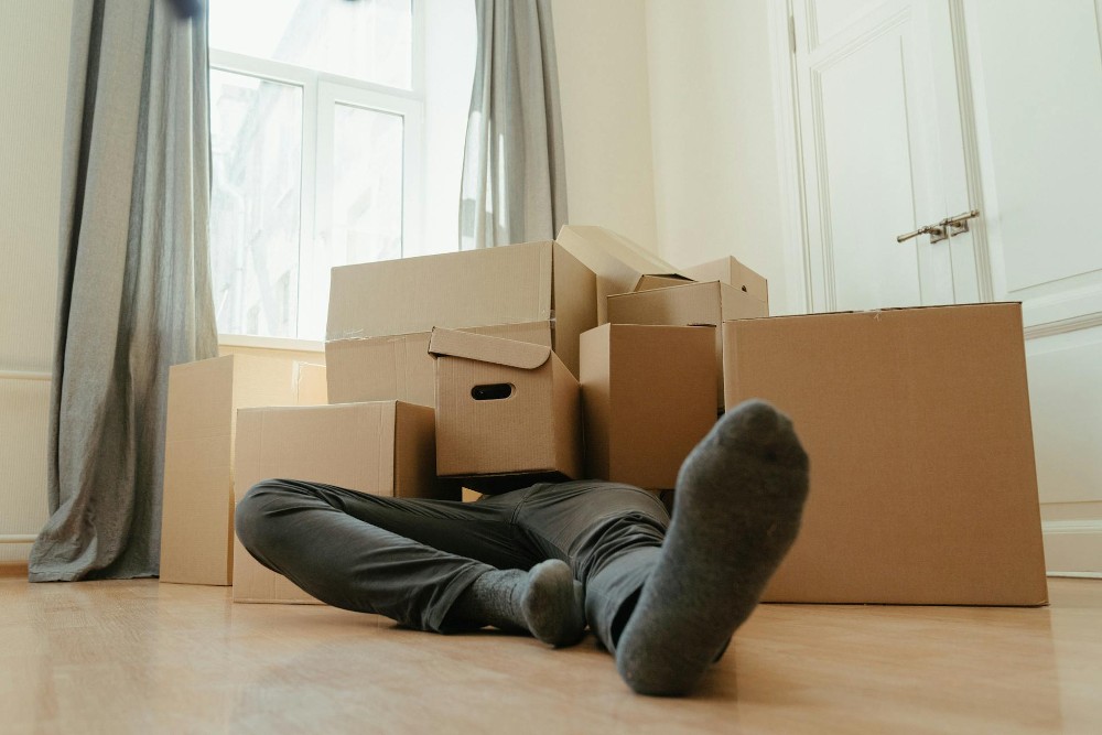 Person in Black Pants Sitting under Brown Cardboard Box